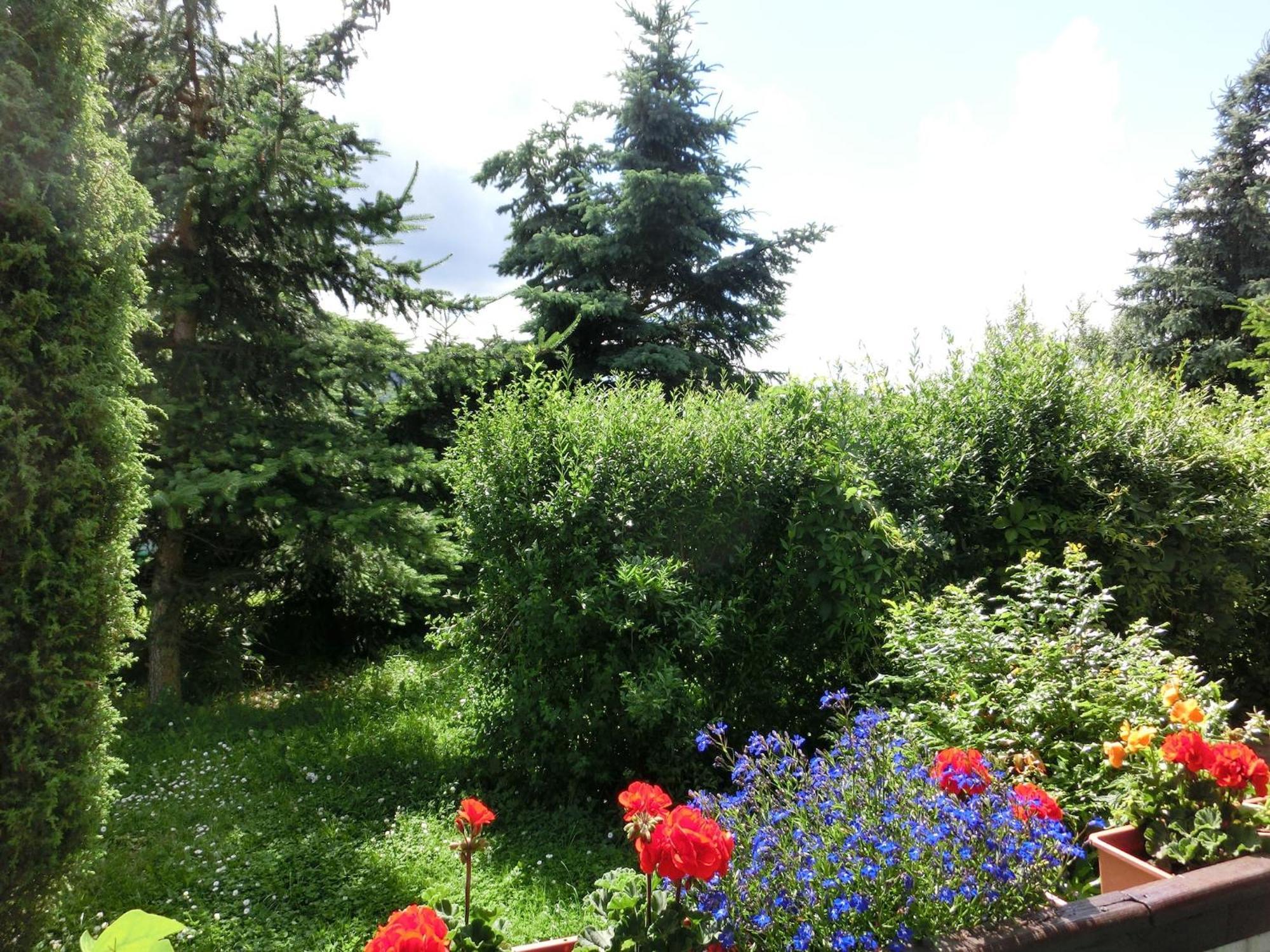 Holiday Home In Cattenstedt Harz With Garden Esterno foto