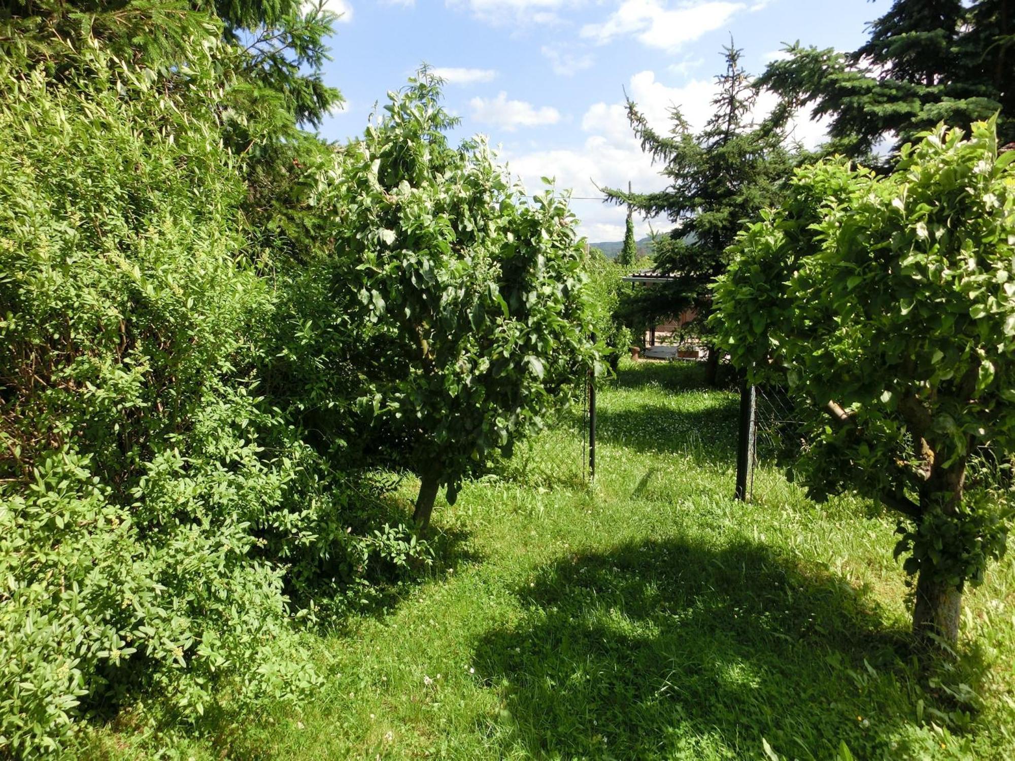 Holiday Home In Cattenstedt Harz With Garden Esterno foto